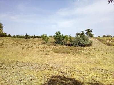 Castelo Branco, Castelo Branco 6005-193, Portugal