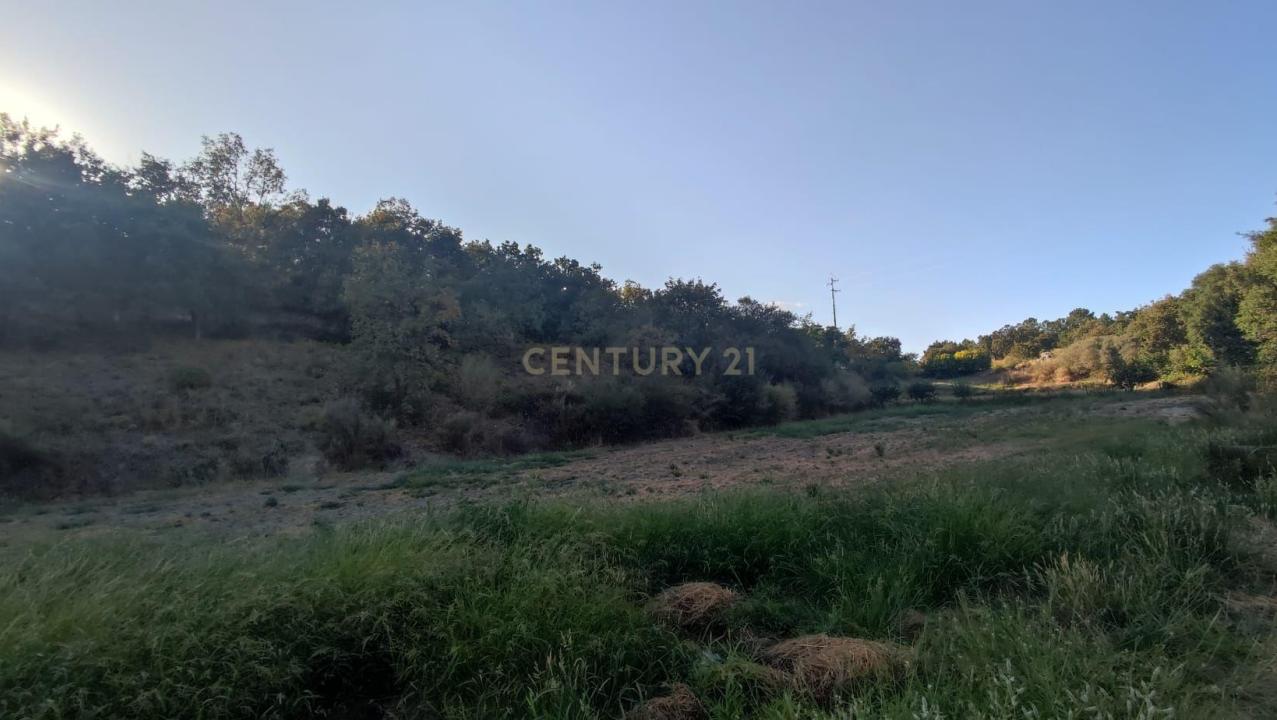 Fundão, カステロ・ブランコ 6230, ポルトガル