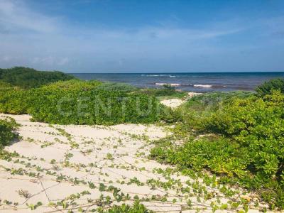 Othon P Blanco, Quintana Roo 77940, México