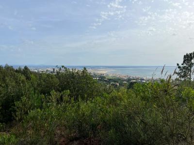 Figueira Da Foz, 科英布拉 0000-000, 葡萄牙