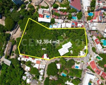 Gran Via Tropical 11, Acapulco, Guerrero 39390, Mexico