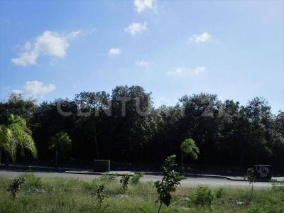 Los Arrecifes, Solidaridad / Riviera Maya, Quintana Roo 77710, Mexico