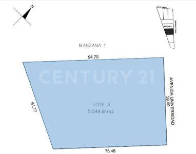 Los Arrecifes, Solidaridad / Riviera Maya, Quintana Roo 77710, Mexico