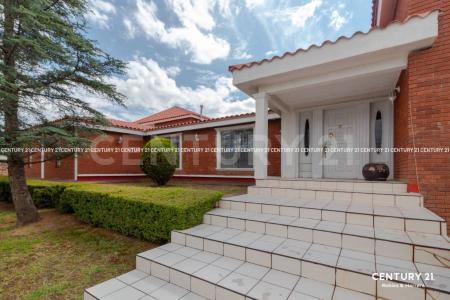 Bruselas S/N, Cuauhtémoc, 치와와 31555, 멕시코