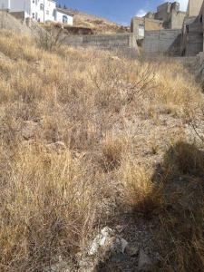 Fuente Paulina 101, チワワ, チワワ 31207, メキシコ