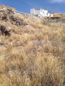 Fuente Paulina 101, チワワ, チワワ 31207, メキシコ