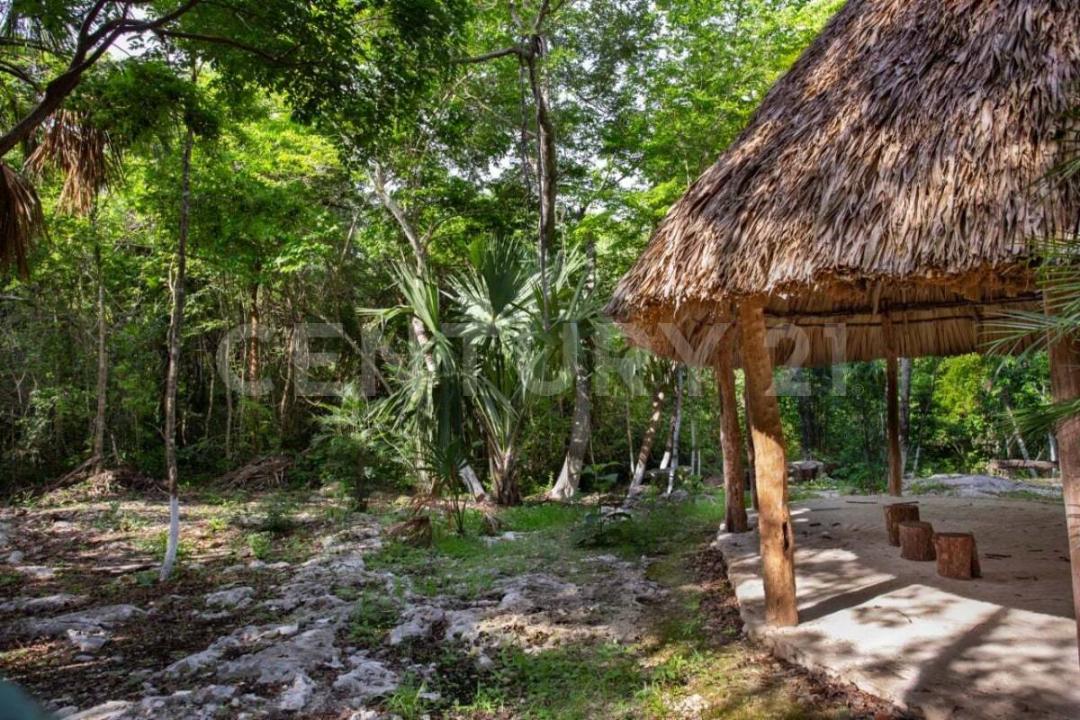 Boulevard La Ceiba 1, Lázaro Cárdenas, 金塔纳罗奥 77366, 墨西哥