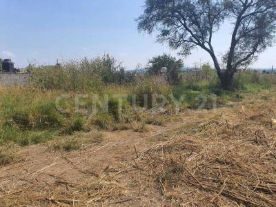 rabit 236, Tonala, Jalisco 45420, Mexique