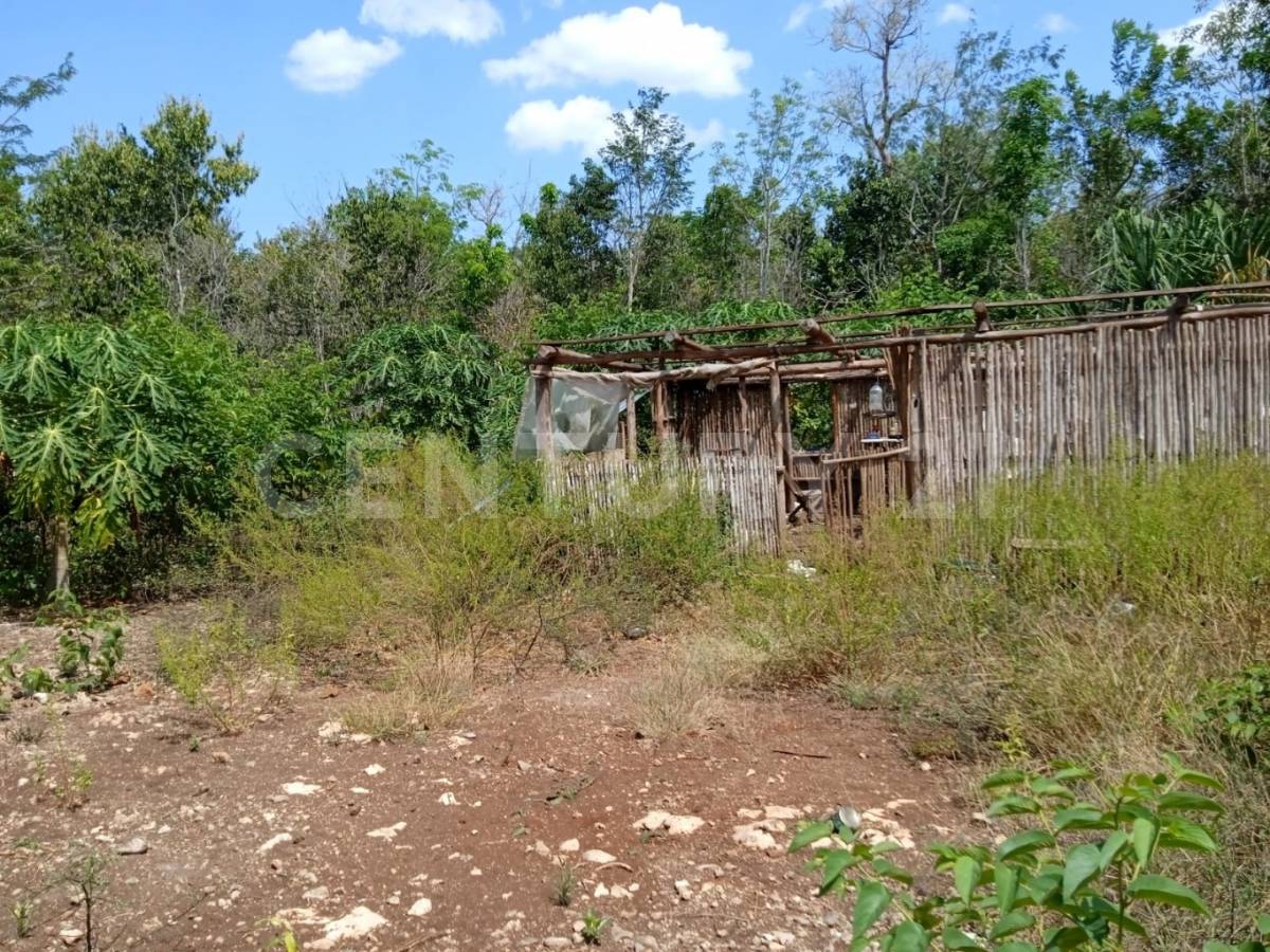 Othon P Blanco, Quintana Roo 77930, Messico