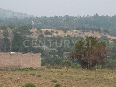 SAN DIEGO APATLANUAYA s/n, Huamantla, Tlaxcala 90501, Mexico