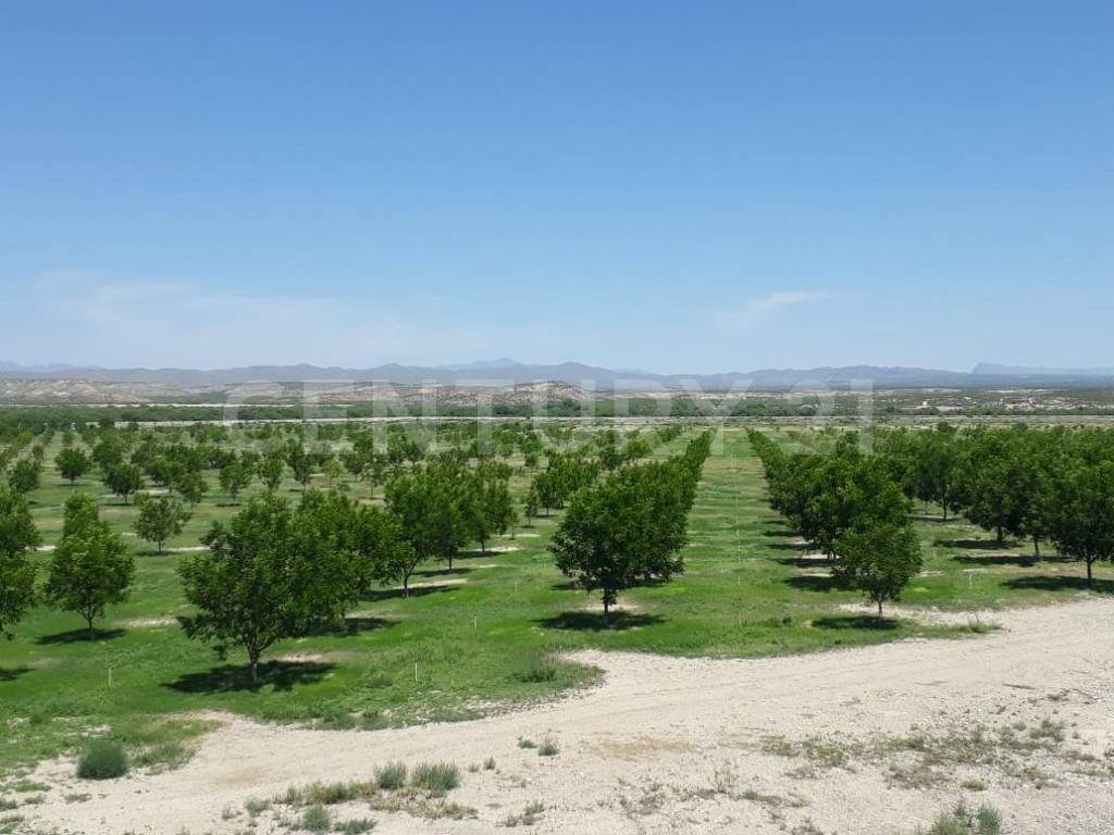 MPIO. DE COYAME, DTO.JUDICIAL MANUEL OJINAGA S/N, Coyame, Chihuahua 32850, Mexico