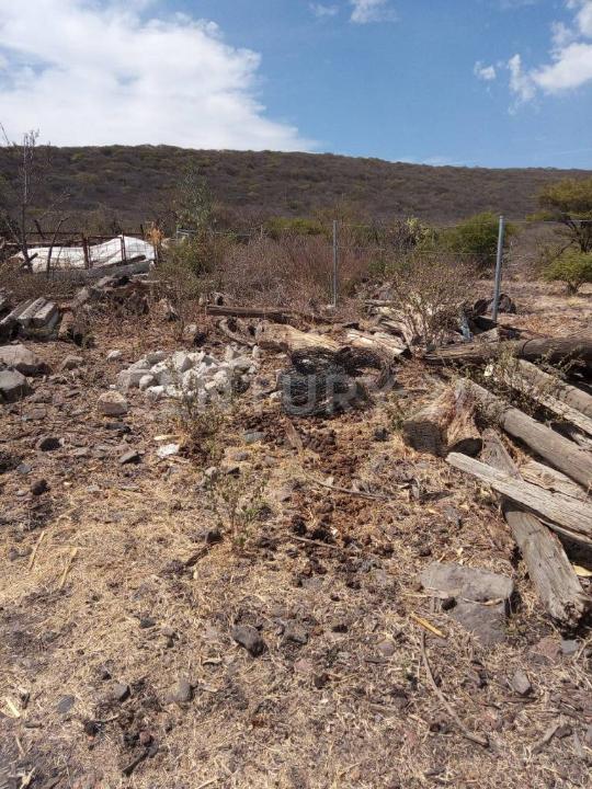 Ejido San Francisco, La parcela 4 Z-1 P1/2, Huimilpan, Querétaro 76950, Mexico