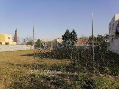 Monterrey, Nuevo León 64610, Mexico