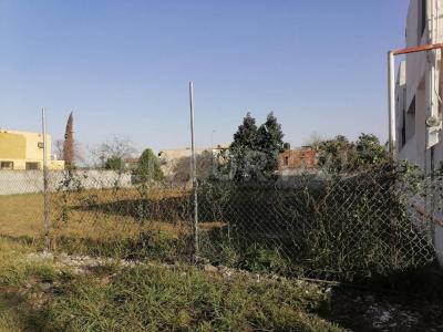 Monterrey, Nuevo León 64610, Mexico