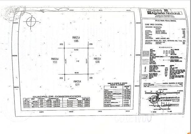 1 1, Puerto Morelos, Quintana Roo 77580, México