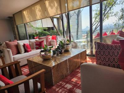 Medanos 204 PH, Alvaro Obregón, Ciudad De México 01710, Mexico