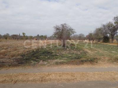 Venta de terreno de 1,660 m2 rustico excelente ubicación. a 500 metros de Jurisdicción Sanitaria No. 5., Huejotzingo, Puebla 74160, México