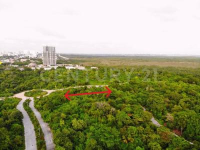 Avenida 1 0, Cancún/Benito Juárez, 킨 타나 77503, 멕시코