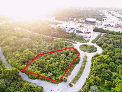 Avenida 1 0, Cancún/Benito Juárez, 킨 타나 77503, 멕시코