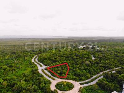 Avenida 1 0, Cancún/Benito Juárez, 킨 타나 77503, 멕시코