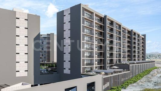 Tijuana, Baja California 22195, Mexico