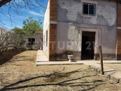 85 y 21 M44, 치와와, 치와와 31384, 멕시코