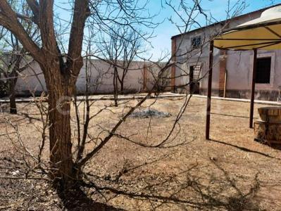 85 y 21 M44, 치와와, 치와와 31384, 멕시코