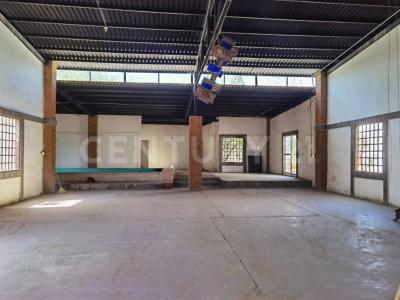 85 y 21 M44, 치와와, 치와와 31384, 멕시코