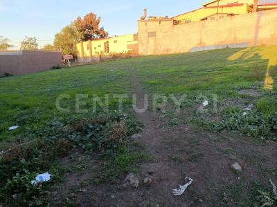 Tezozomoc L-8, Playas De Rosarito, Baja California 22705, Mexiko