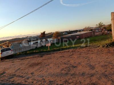 Tezozomoc L-9, Playas De Rosarito, Basse-Californie 22705, Mexique