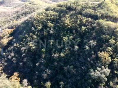 Santiago, Nuevo León 67327, Mexico