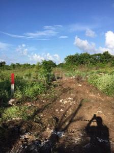 Carretera Cafetal-Mahahual Km 55, Othon P Blanco, Quintana Roo 77940, Meksika