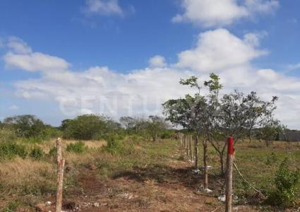 Carretera Cafetal-Mahahual Km 55, Othon P Blanco, Quintana Roo 77940, Meksika