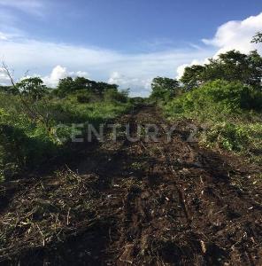 Carretera Cafetal-Mahahual Km 55, Othon P Blanco, Quintana Roo 77940, Meksika