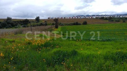 Camino a San Juan Tilapa sn, Metepec, Estado De México 52160, Mexico