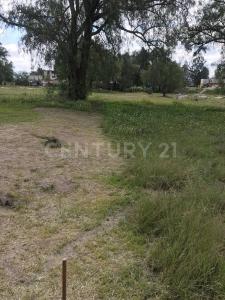 Nextlalpan, État De Mexico 55790, Mexique