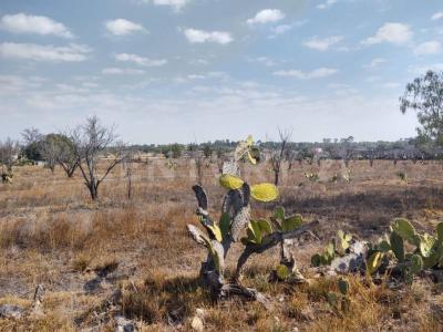 Zumpango, Estado De Mexico 55600, Mexico