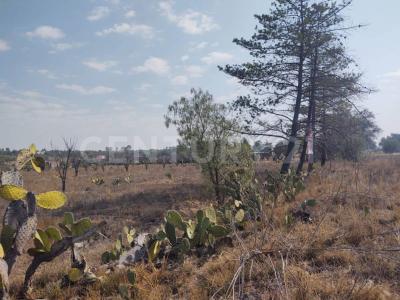 Zumpango, Estado De Mexico 55600, Mexico