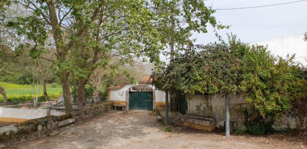 Oeiras, Lisbon 2730, Portugal