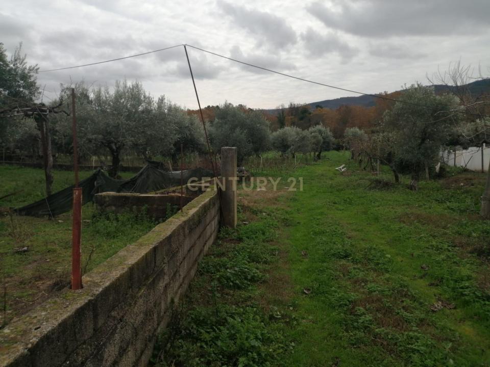 Fundão, Castelo Branco 6230-213, Portogallo