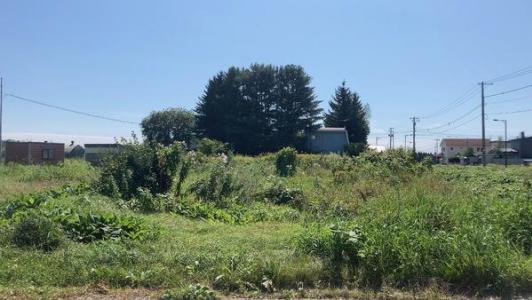 柳町北区15-18, 音更町柳町北区　売土地, 河東郡音更町, Hokkaido 080-0121, Japonia