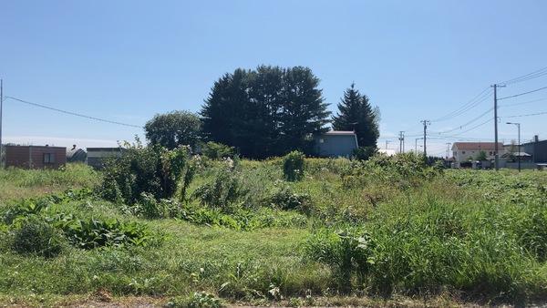 柳町北区15-18, 音更町柳町北区 売土地, 河東郡音更町, هوكايدو 080-0121, اليابان