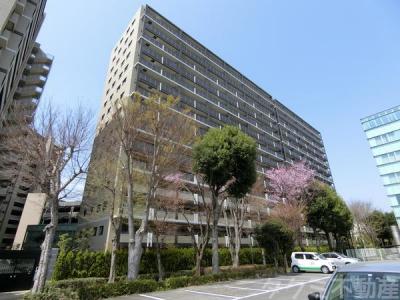 竹園１丁目3-8, レーベンザつくば, つくば市, Ibaraki 305-0032, Japão