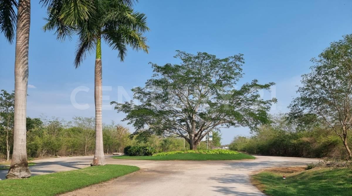 Conkal, Yucatán 97345, México