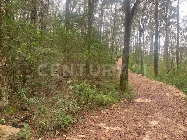 LAGUNA DE SERVIN LOTE 229, Contepec, Michoacán 61041, México