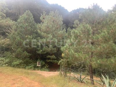 LAGUNA DE SERVIN LOTE 229, Contepec, Michoacán 61041, México