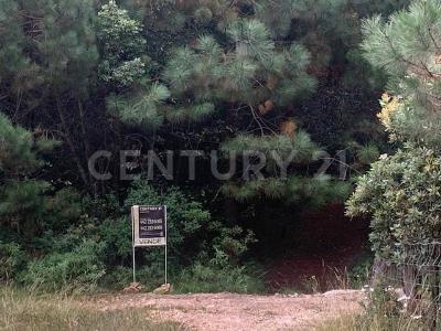 LAGUNA DE SERVIN LOTE 229, Contepec, Michoacán 61041, México