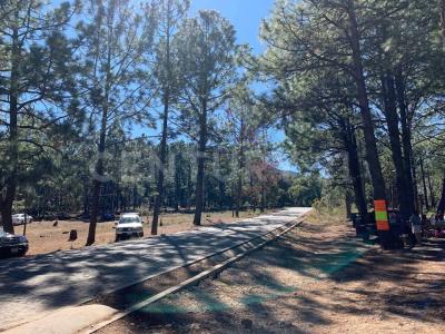 LAGUNA DE SERVIN LOTE 229, Contepec, Michoacán 61041, México