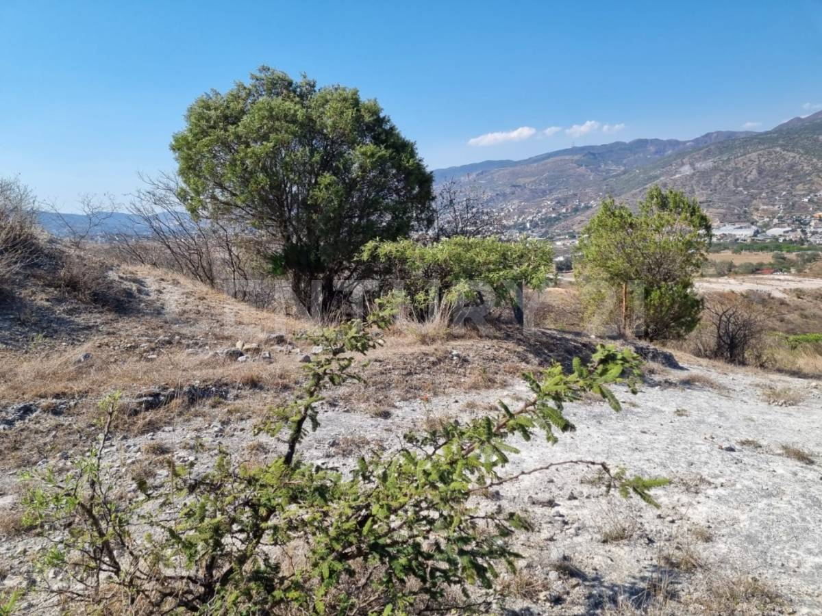 BOSQUES DE CEDRELAS Kilómetro 305, Chilpancingo De Los Bravo, Guerrero 39105, Mexico