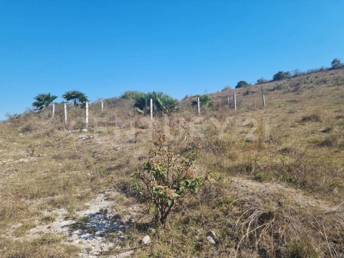 BOSQUES DE CEDRELAS Kilómetro 305, Chilpancingo De Los Bravo, Guerrero 39105, Mexico
